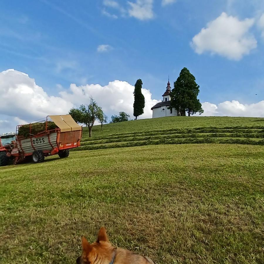 Apartmaji Pr Smolet Škofja Loka Exteriér fotografie